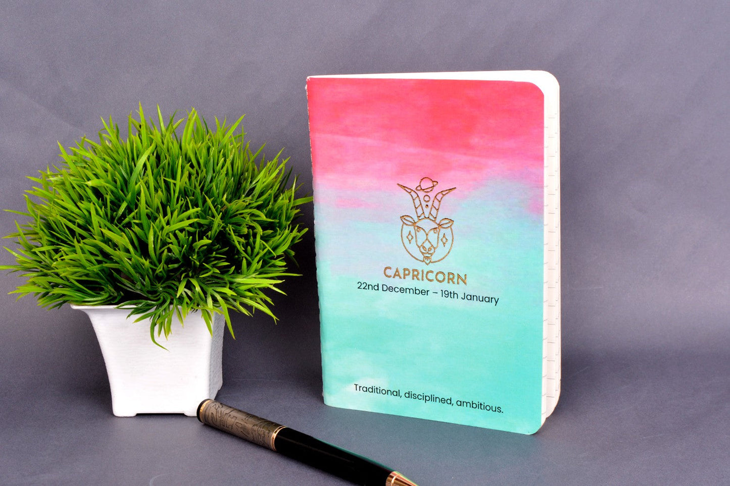 Capricon A6 Zodiac Notebooks